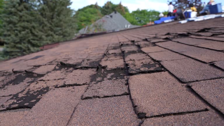 Best Skylight Installation and Repair  in La Harpe, IL