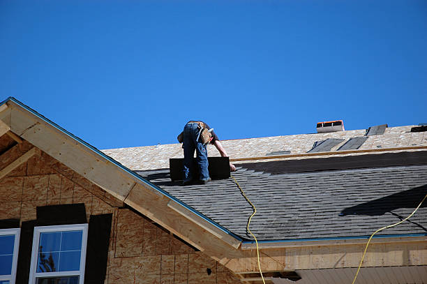 Best Solar Panel Roofing Installation  in La Harpe, IL
