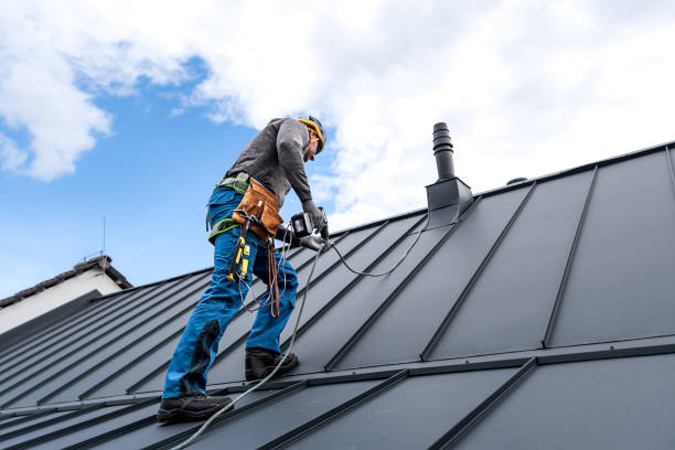 Best Metal Roofing Installation  in La Harpe, IL